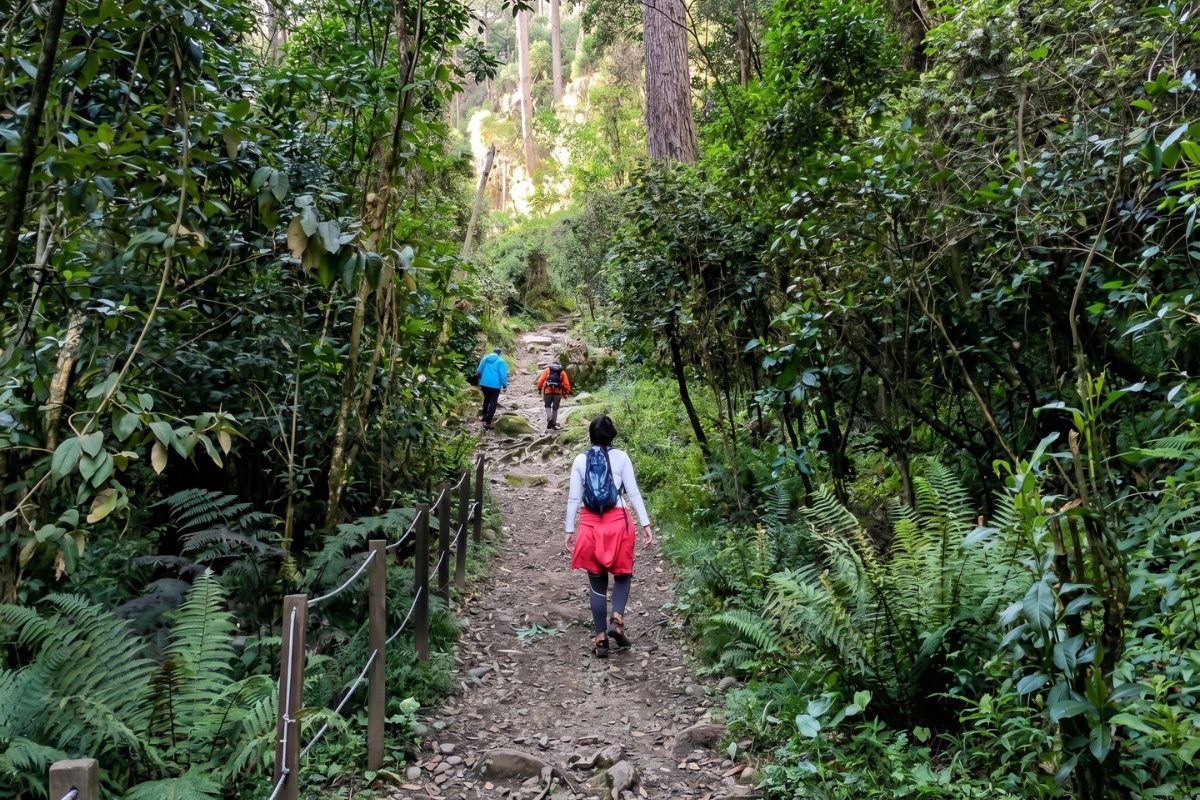 [FALTA IMAGEN] Senderismo Cerro de la Vieja