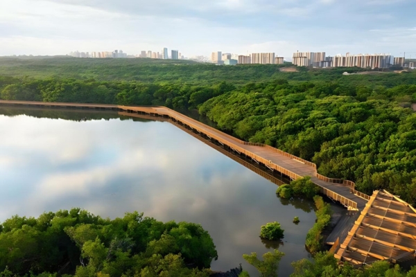 Ecopaseo Mallorquín