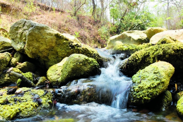 Reserva Natural Los Charcones